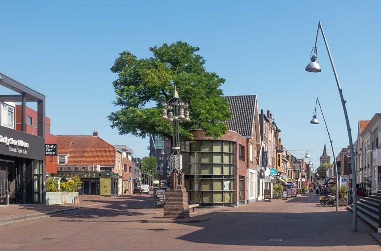 Interieur Oude Kerk Ede met monumentaal orgel en houten kerkbanken onder gewelfde plafond