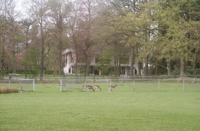 foto: pieter delicaat / cc by sa 3.0 via wikimedia commons