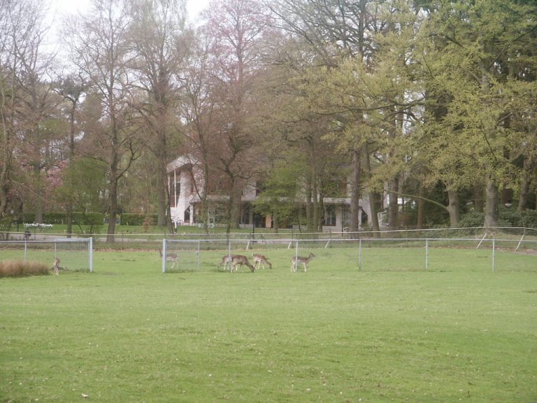 Wandeling in Park Reehorst — Natuur in Ede