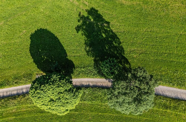 Werkend bouwland met graanoogst tijdens Oogstdag in Bennekom; bezoekers kijken naar traditionele landbouwmachines
