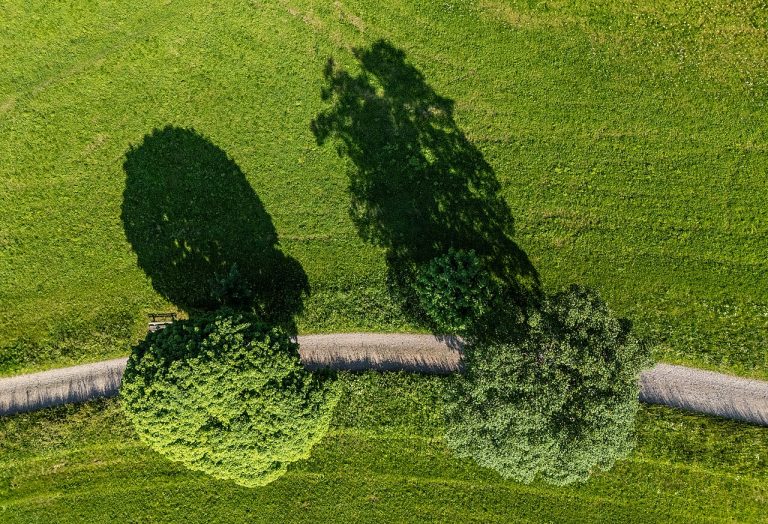 Oogstdag 15 augustus — Natuur in Ede