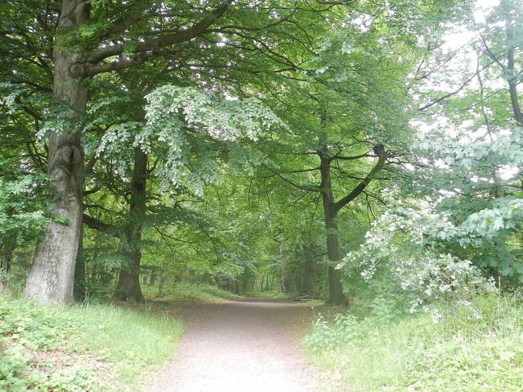 Wandelen met Arocha Bennekom, zaterdag 5 september in Ede