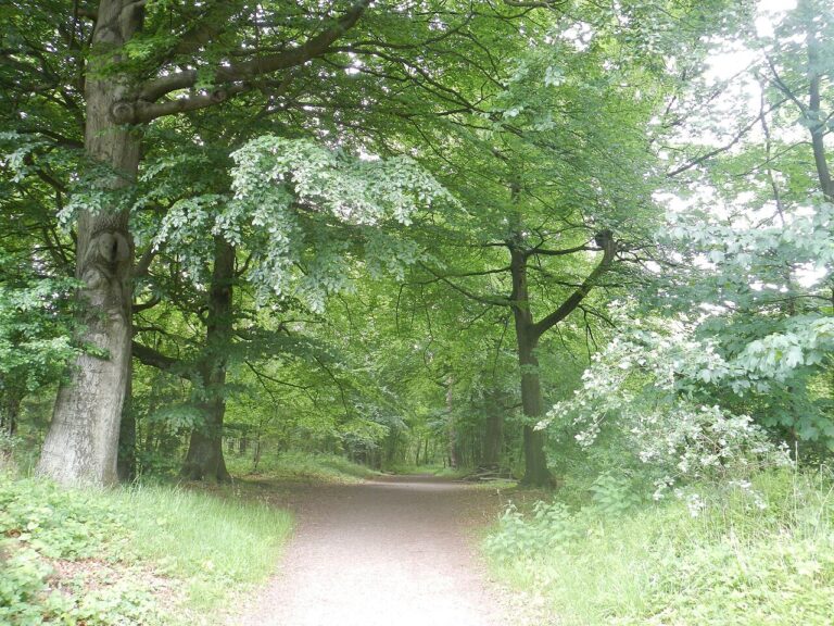 Wandelen met Arocha Bennekom, zaterdag 5 september